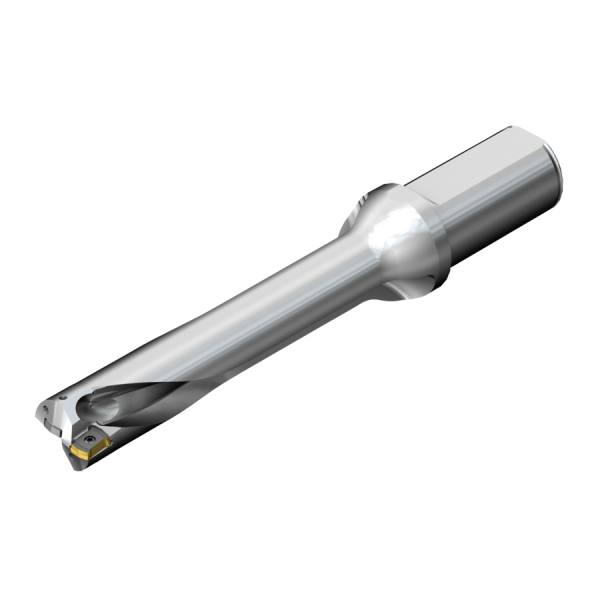 DS20-D4400L50-05