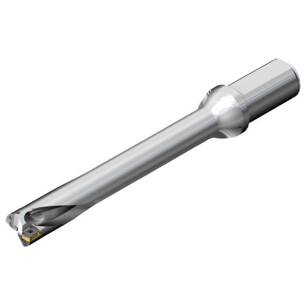 DS20-D4100L40-07